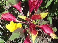 e5546da3-Picture 014.jpg